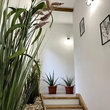 Луксозна вила The Borum House *